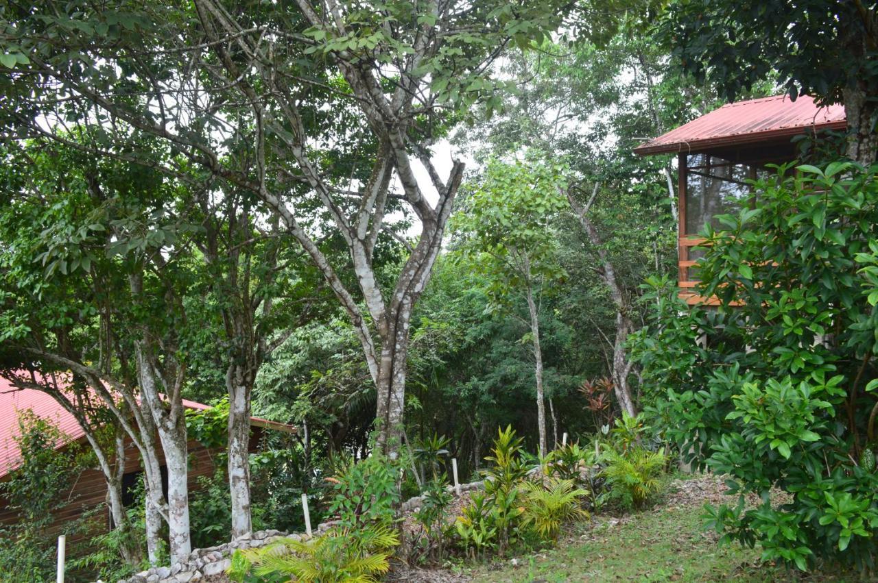 Santa Cruz Cabins Santa Elena Eksteriør billede