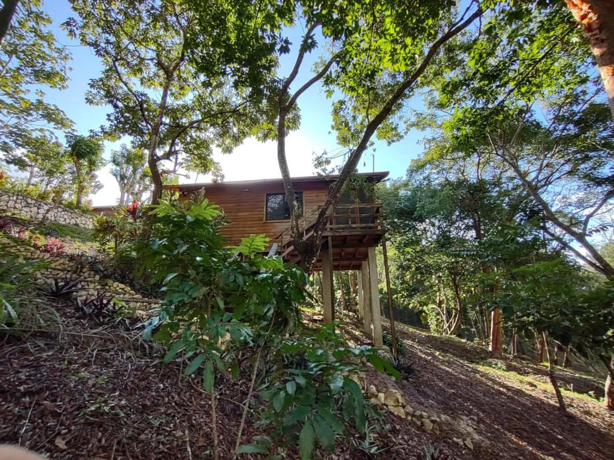 Santa Cruz Cabins Santa Elena Eksteriør billede