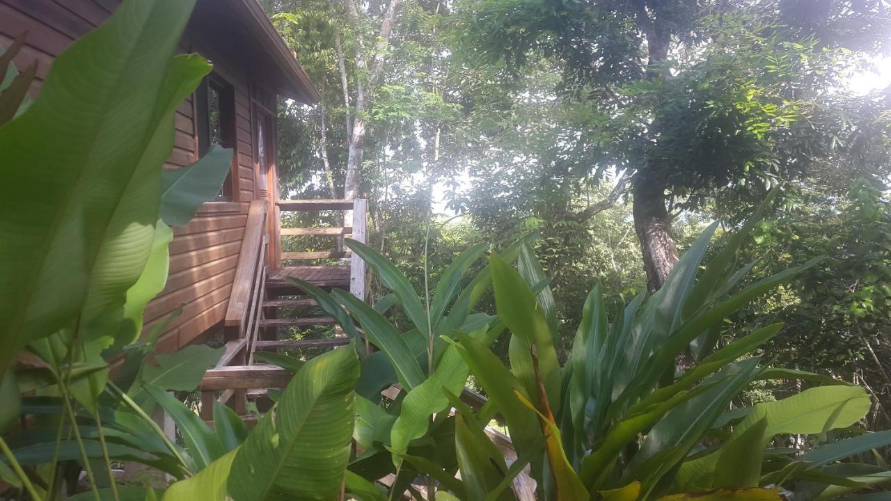 Santa Cruz Cabins Santa Elena Eksteriør billede